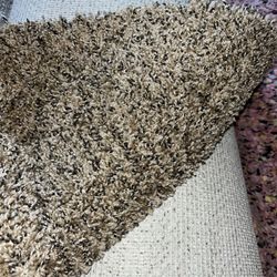 Brand New- Fresh Carpet