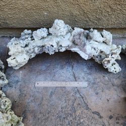 Caribsea XL Liferock Arch