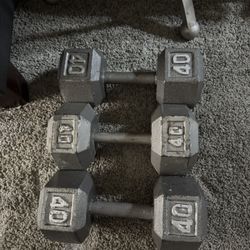 3 - 40 Pounds Weight