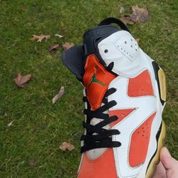 Jordan 6 Gatraid