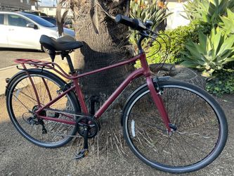 Giant Momentum Hybrid Bike