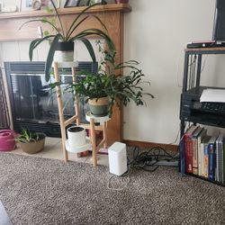 Plant Stand