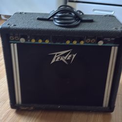 Peavy 110 amp
