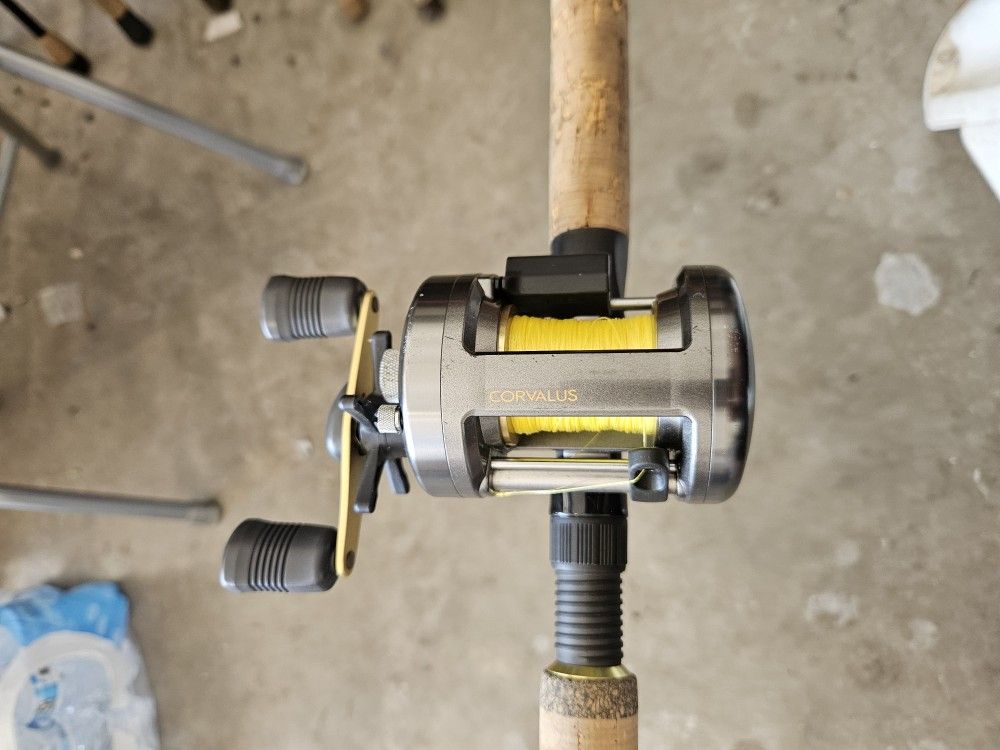 Shimano Corvalus 400