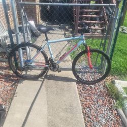 26" Pueblo Nishiki