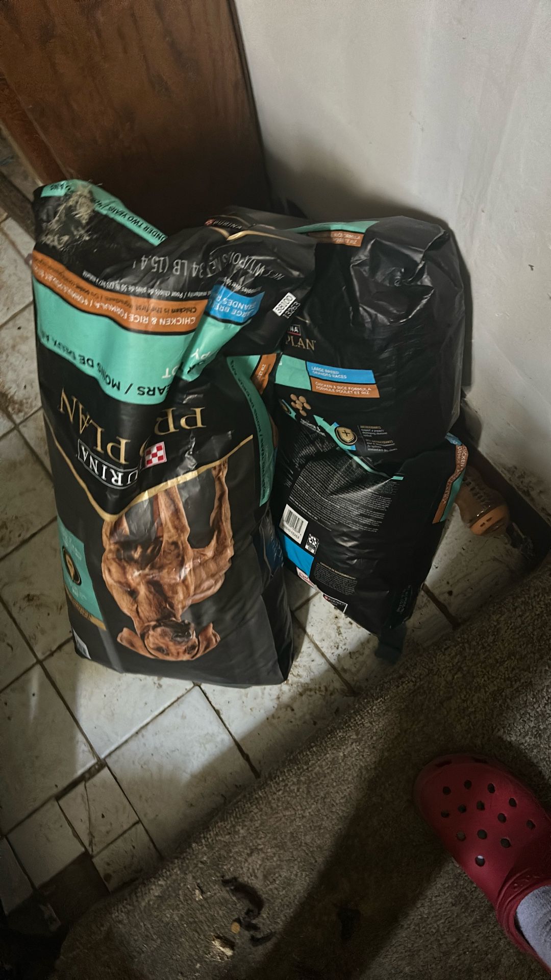 Dog Food