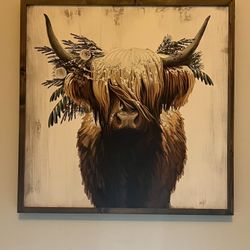 Highland Cow Picture
