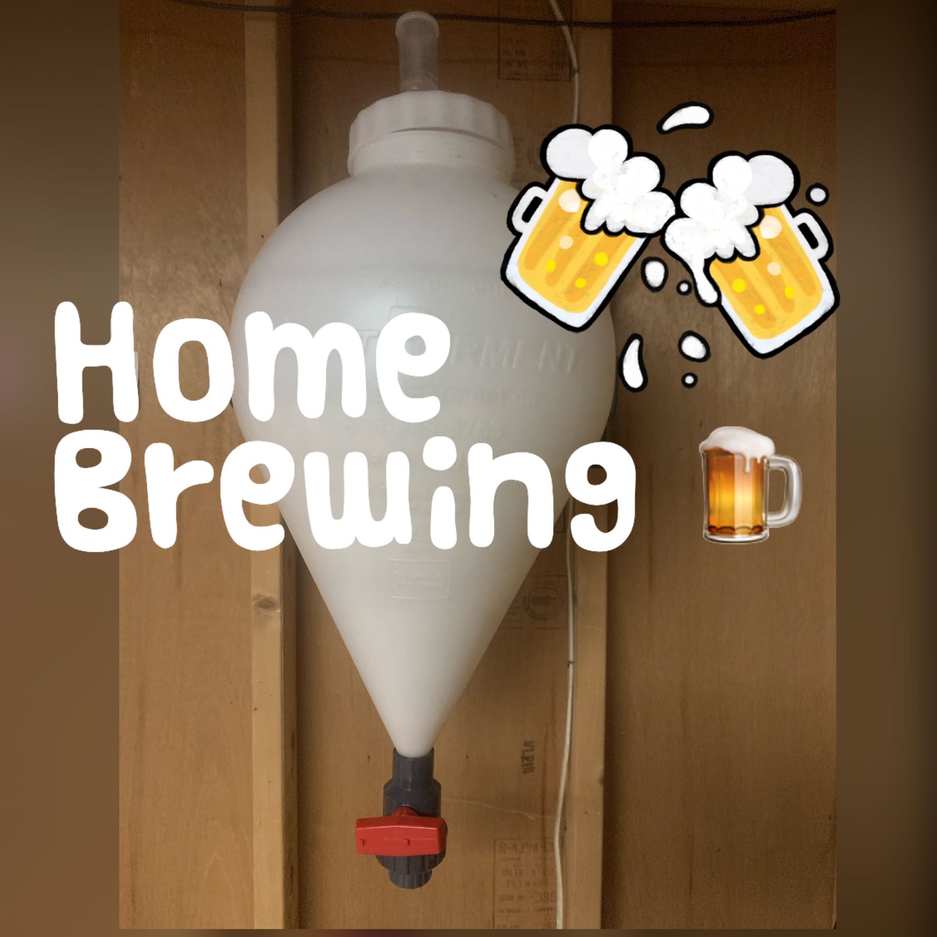 Fast Fermenter Home Brew