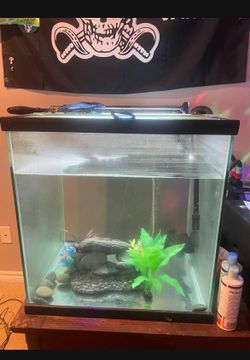 60 Gallon Cube Tank