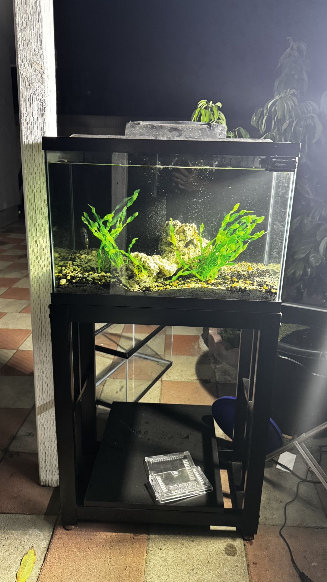 20 Gallon Aquarium Fish Tank