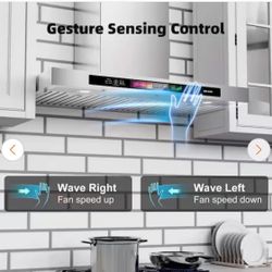 30 in. 900 CFM Ducted Insert Range Hood in Stainless Steel with Voice/Gesture/Touch Control/4 Speed Exhaust Fan