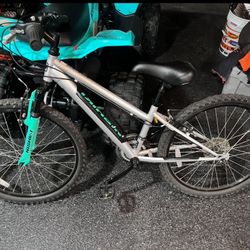 Nishiki Kids Mountain Bike