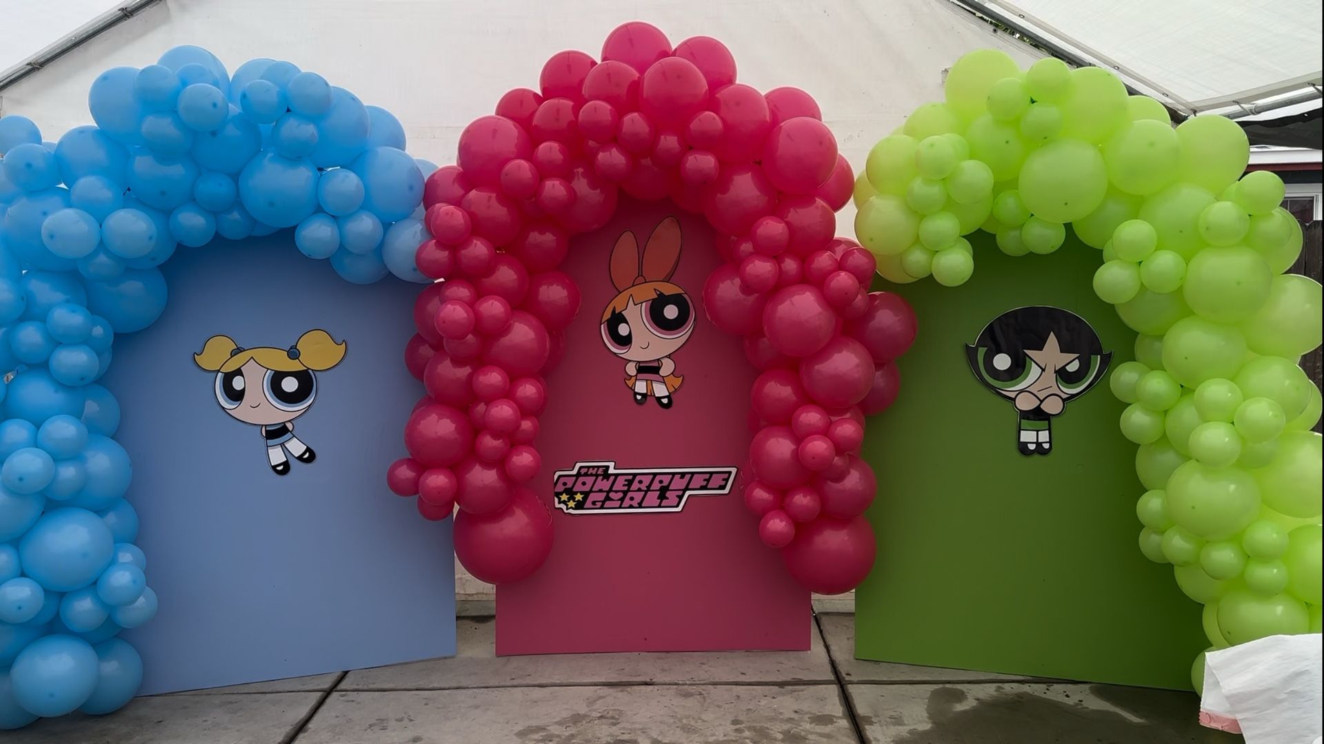 Powerpuff Girl Birthday Party Decorations And PDF Invitation