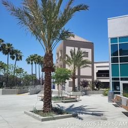 Landscape Construction 