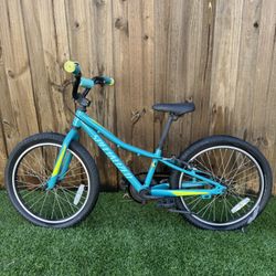 Specialized Kids Bike (20”) – Project / Fixer Upper