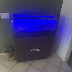 30 Gallon Fish Tank