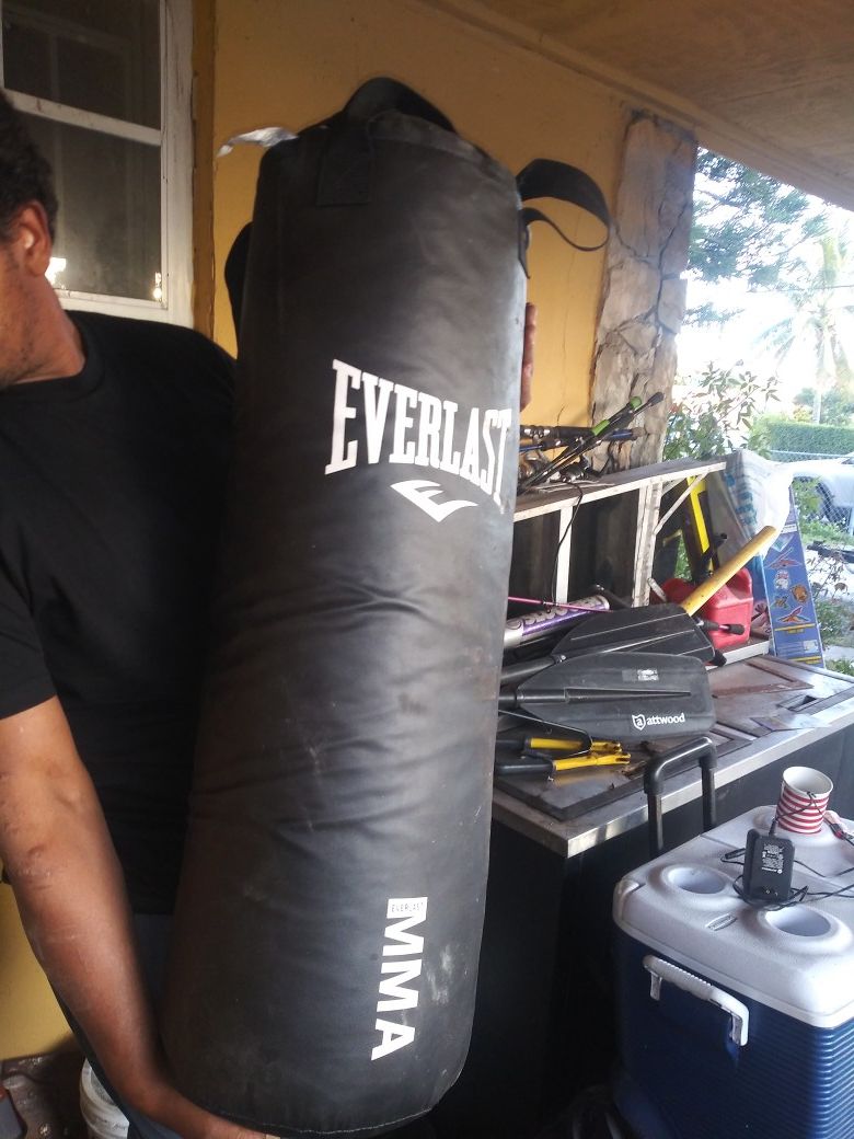 Everlast punching bag!