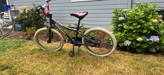 Schwinn boys or girls bike 20 inch