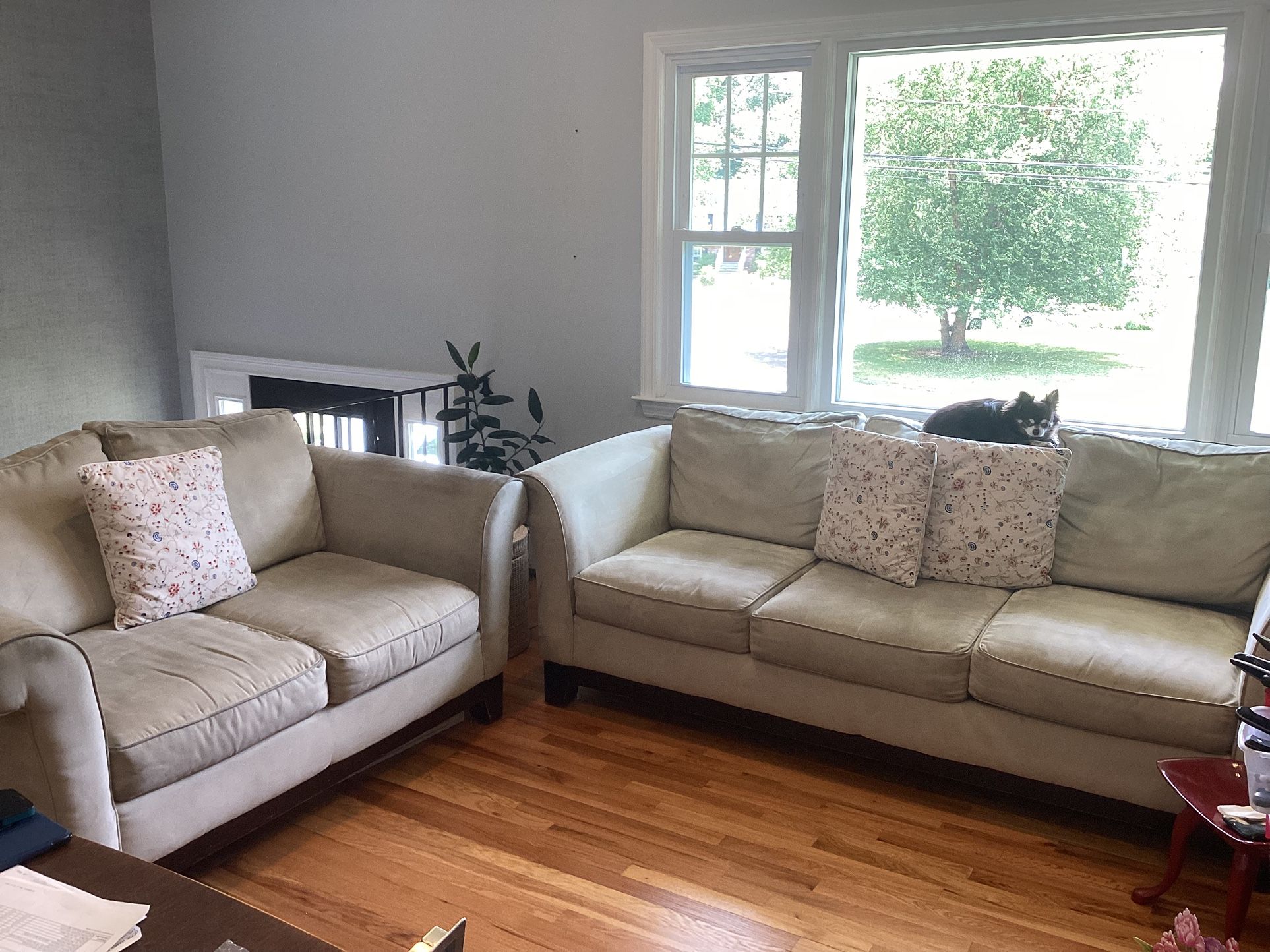 Sofa And Loveseat With Pillows