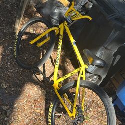 Yellow 26 Inch Beastern 