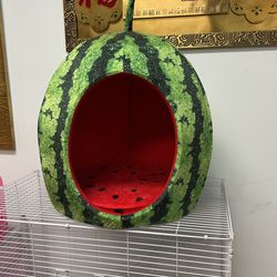 Watermelon Pet Bed