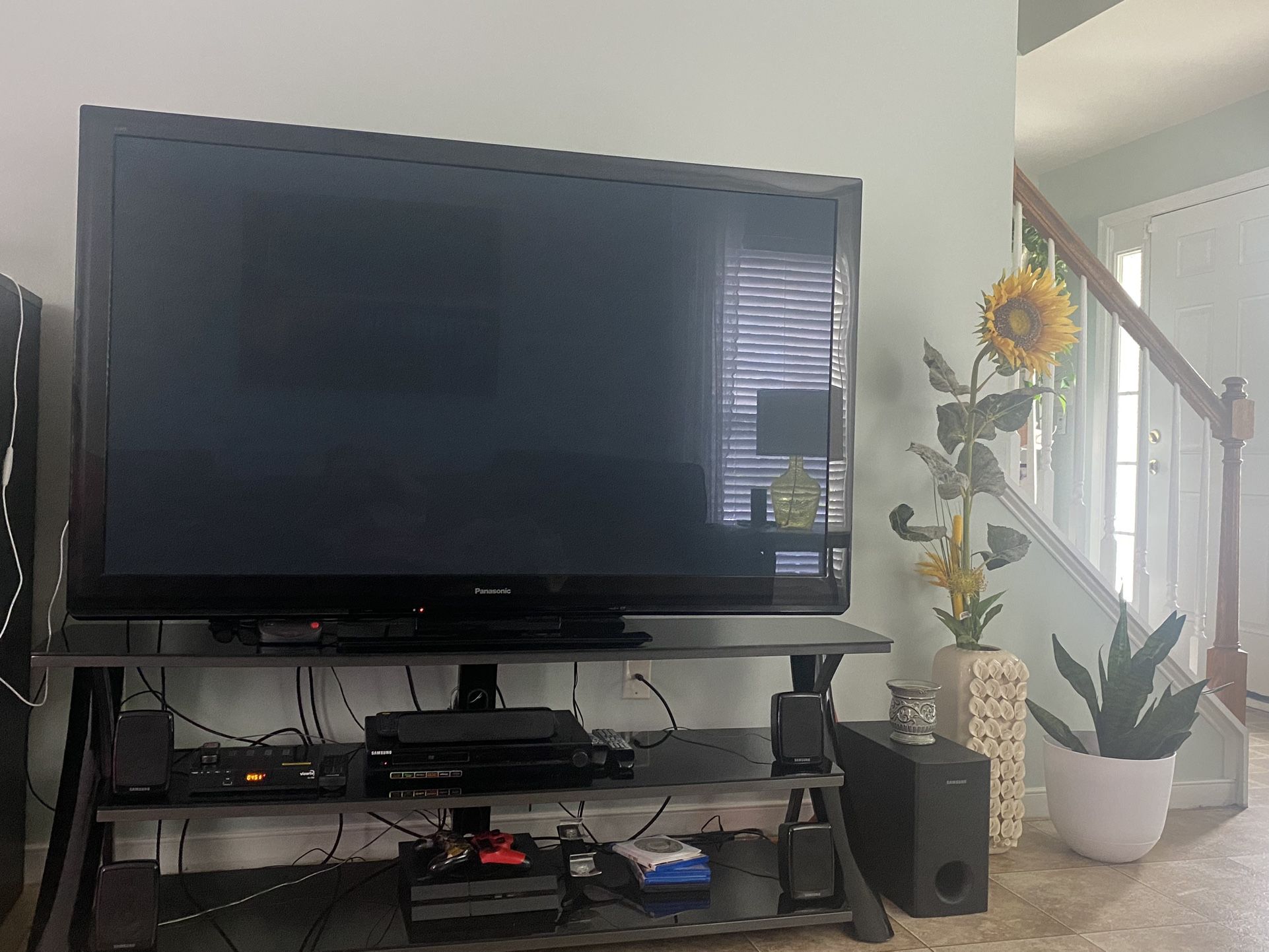 65in Panasonic Plasma TV & TV Stand