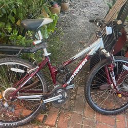 Female Schwinn Bike