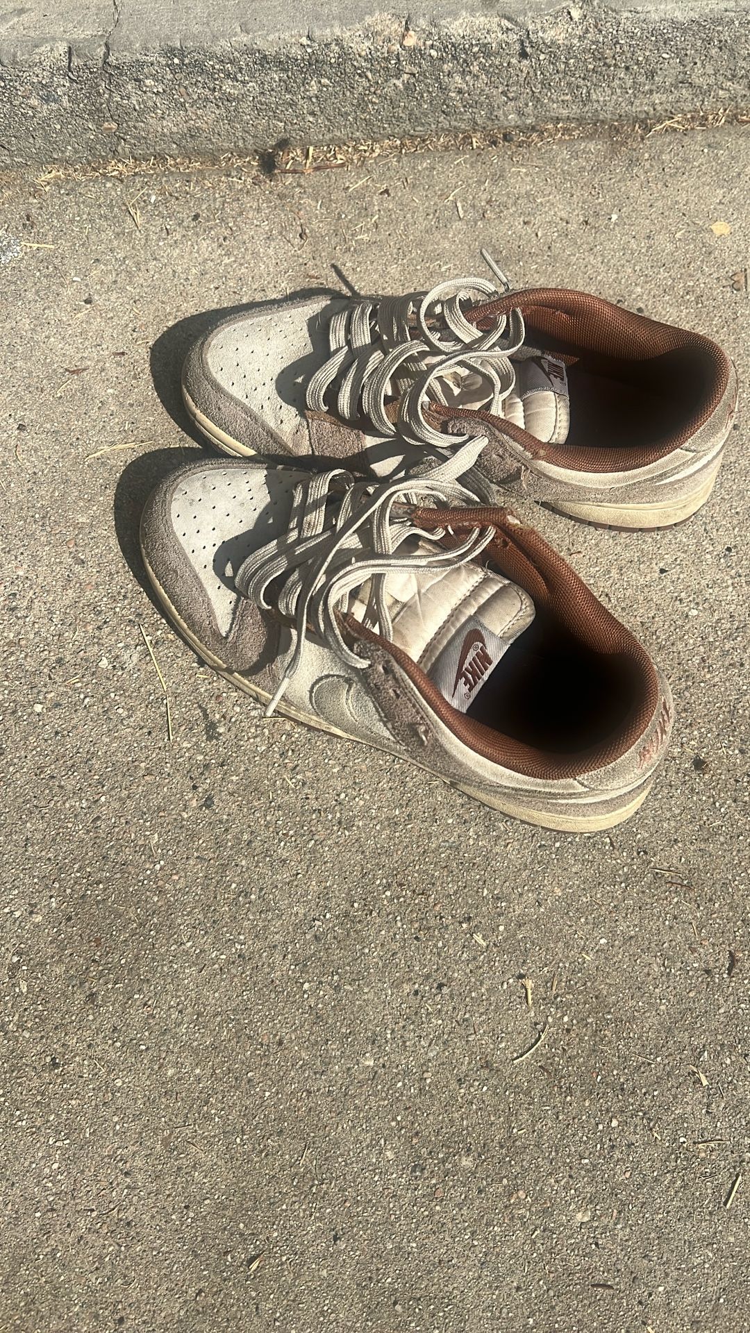 Nike Brown Suede Dunks