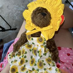 Sunflower Bear  