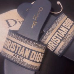 christian dior sandals