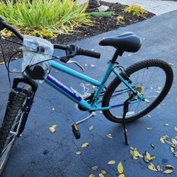 Nishiki Mountain Bike