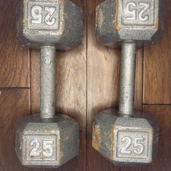 25lb Hex Dumbbells