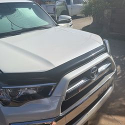 Weathertech Bug Guard