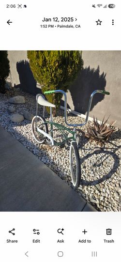 Schwinn original