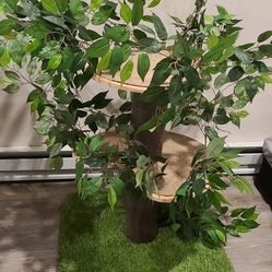 Cat Tree