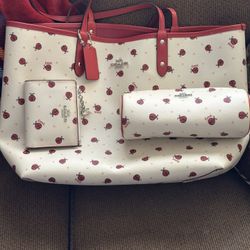 COACH PURSE (3 Piece Set)