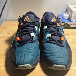 Nike Zoom Freak 5 Size 9.5 Mens