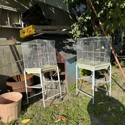 Bird Cages 