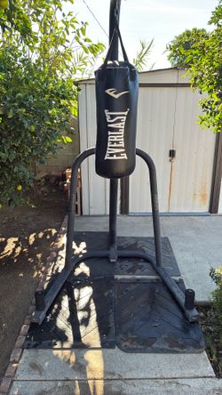 Everlast punching bag-used