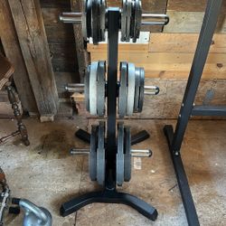 Two Barbells + EZ Curl Bar + Plates (2.5 to 45 lbs / 315 lbs Total)
