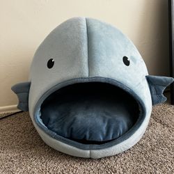 New Cat Bed