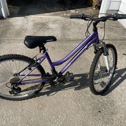  ROADMASTER 24 Inch Bicycle 