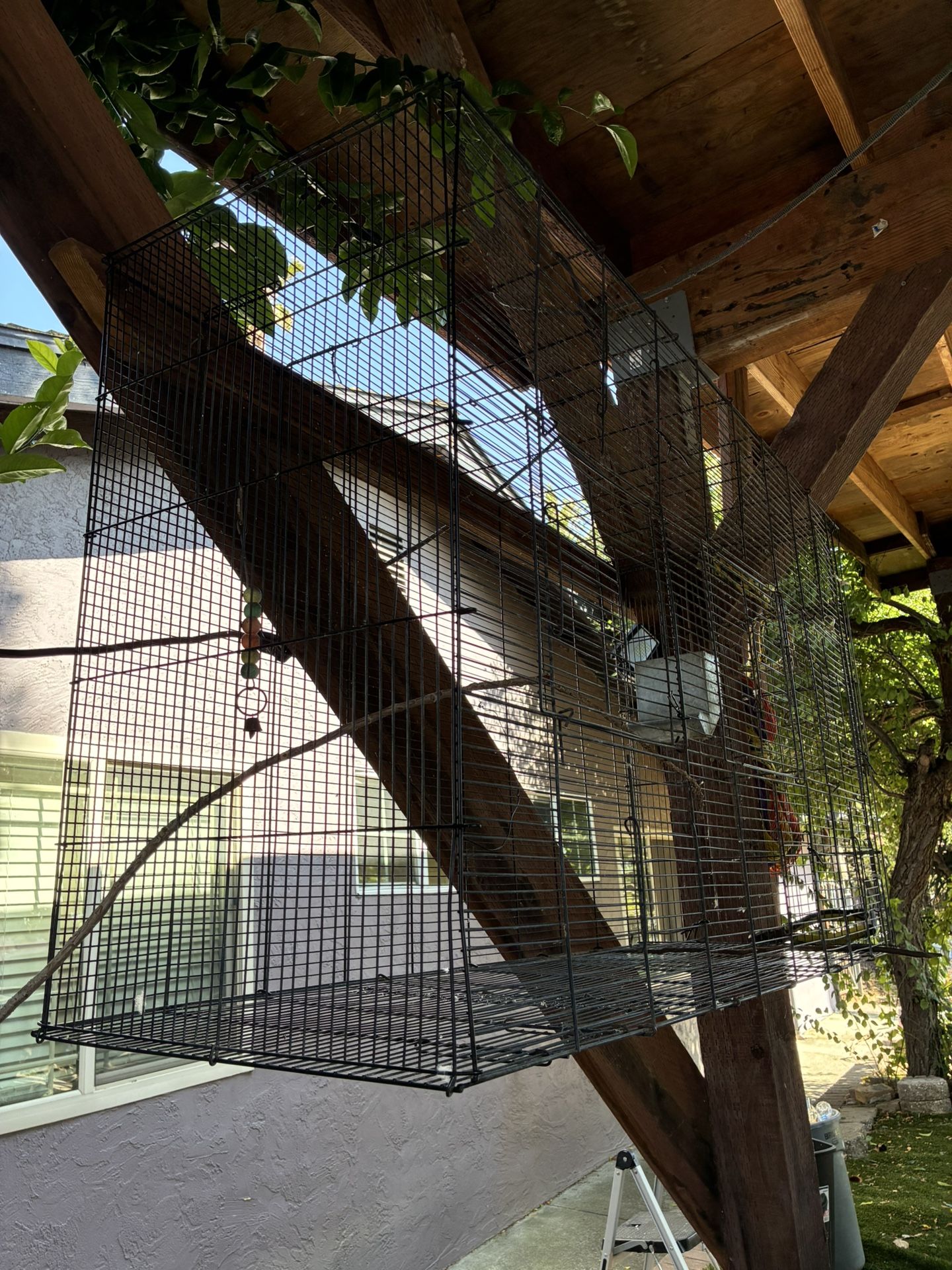 Bird cage
