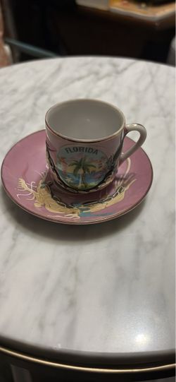 Florida Souvenir Demitasse Cup and Saucer