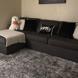 Grey Sectional Couch 