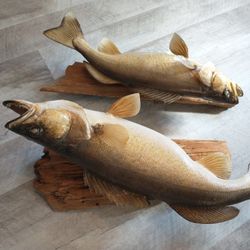 Walleye Mountings 