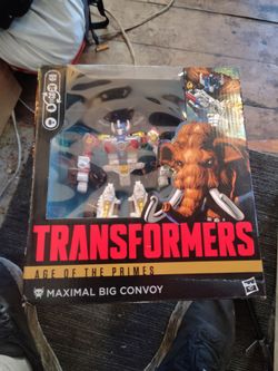 Transformers Age of the Primes