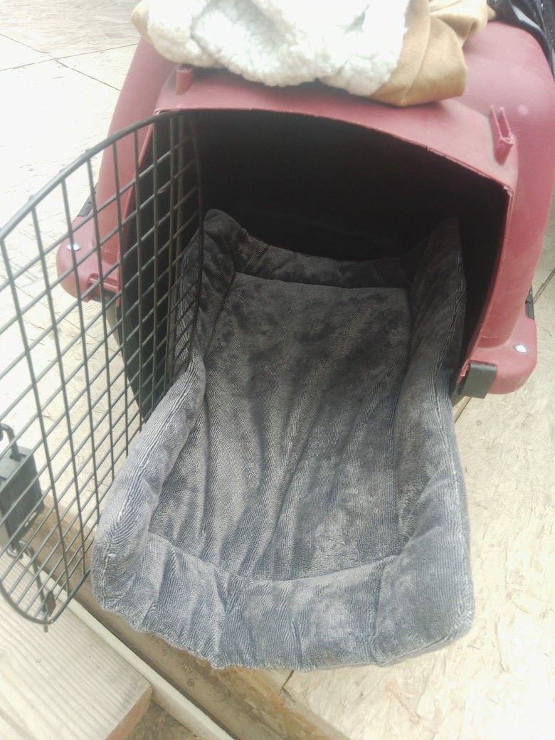 Small Dog Kennel 