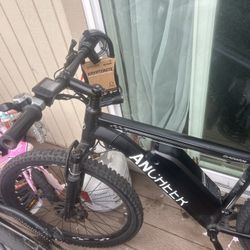 Archer Electric Bike