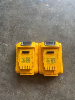 20V MAX Lithium-Ion 2. OAh Battery (2-Pack)